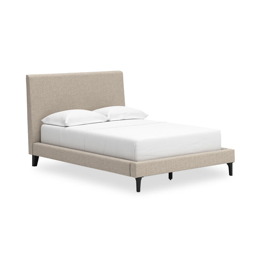 Cieldon Upholstered Panel Bed