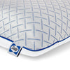 Sealy Cool Touch Memory Foam Pillow