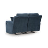 Danum Reclining Loveseat