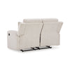 Danum Reclining Loveseat