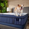 Stearns & Foster Lyanna Cushion Firm Pillow Top Mattress