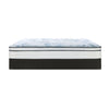 Sealy Posturepedic Mateo Euro Top Mattress Soft