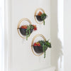 Tobins Wall Planter Set